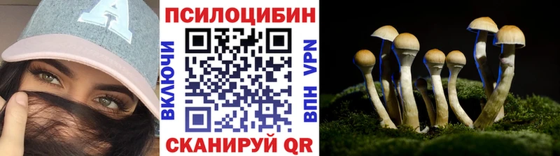 нарко площадка формула  Шагонар  Галлюциногенные грибы прущие грибы 